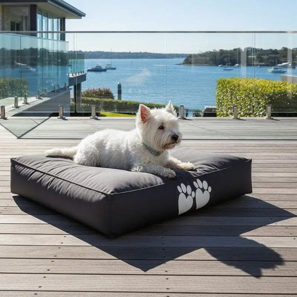 Raffa - pet-friendly dog bean bag by Bean Bags R Us