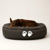 Dog lying on a gray pet bed with paw prints on a white background