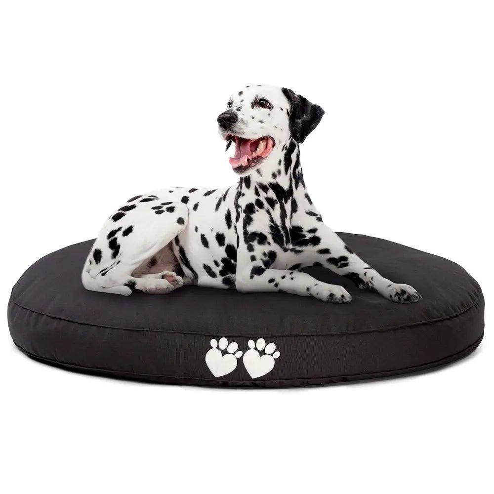 What are the Best Dog Beds for Arthritis? - Bean Bags R Us