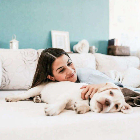 Why Dogs Scratch Their Beds - Bean Bags R Us