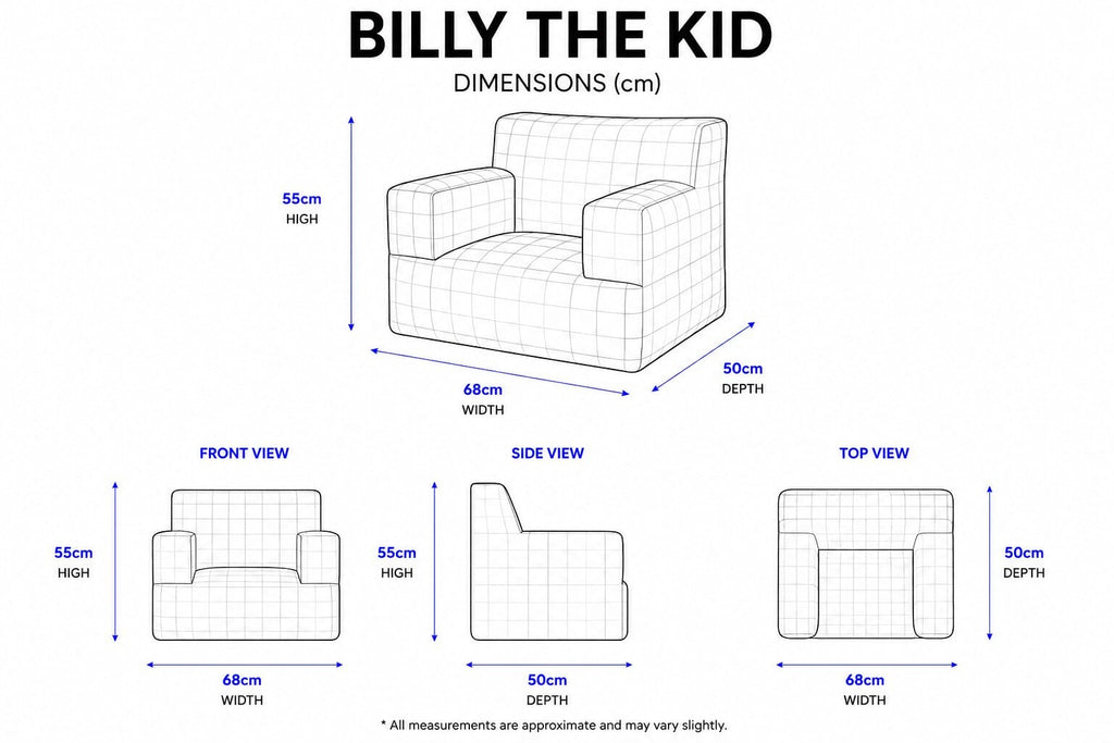 Billy the Kid dimensions wireframe diagram