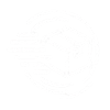 fast delivery icon