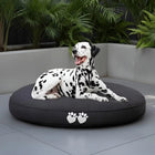 Noah - pet-friendly dog bean bag by Bean Bags R Us — thumbnail 1
