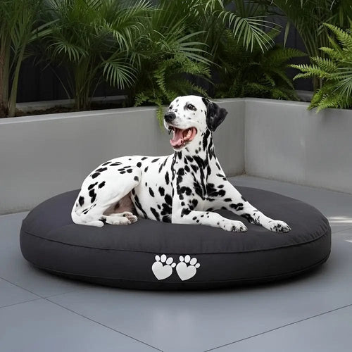 Noah - pet-friendly dog bean bag by Bean Bags R Us