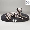 Noah Dog Bed - Bean Bags R Us