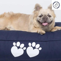 Raffa Dog Bed - Bean Bags R Us