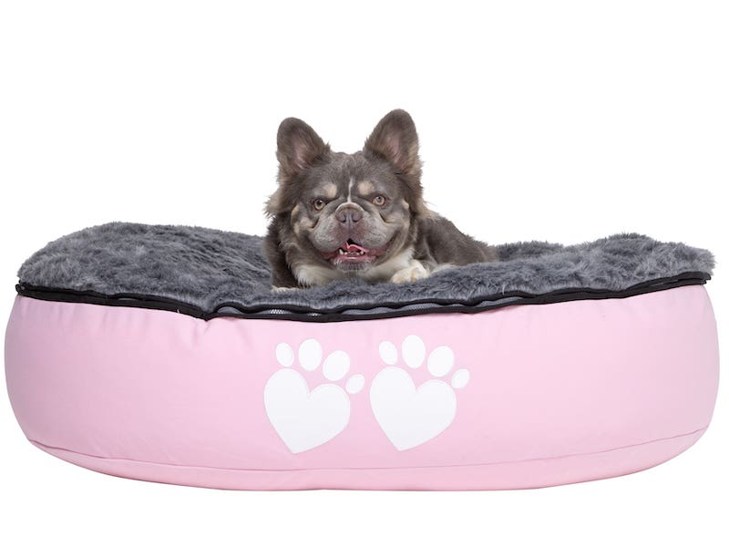 Dog Bean Bags. Find the Perfect Dog Bean Bag for Your Furry Friend