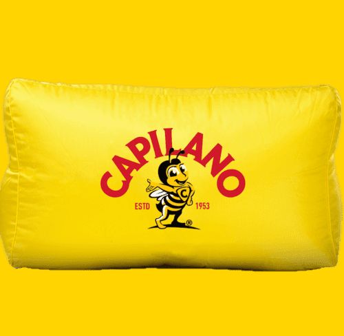 Cayman bean bag printed with a logo